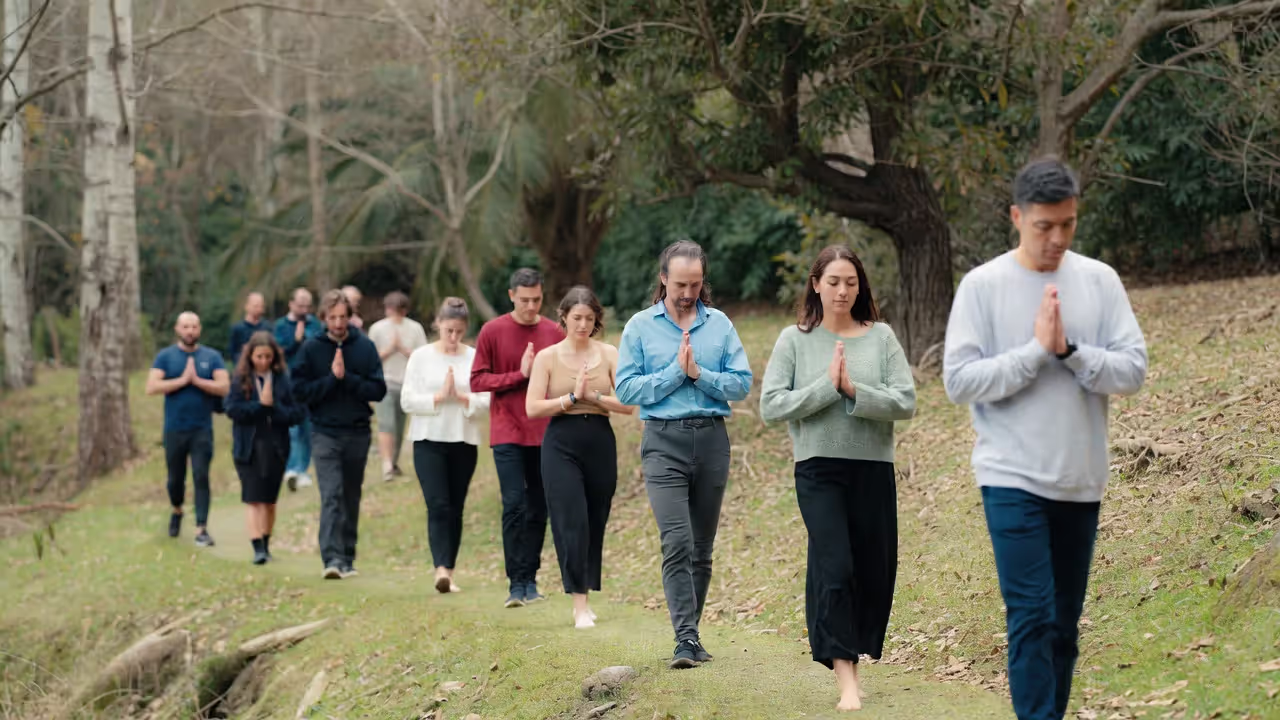 Participants walking in silence on a walking meditation path.